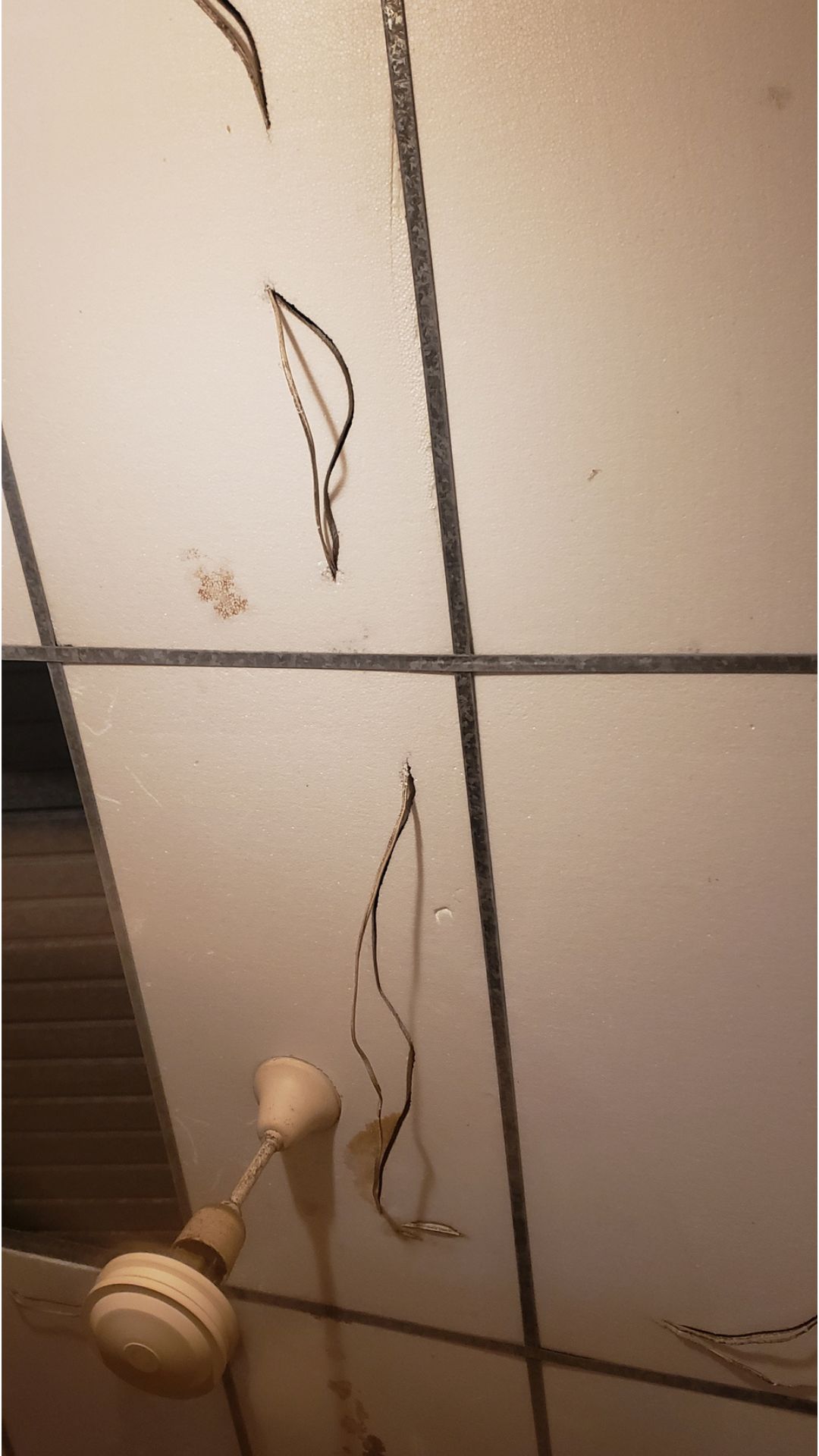 Cables expuestos cerca de filtraciones en la casa